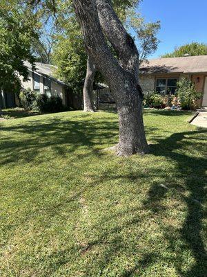 A good lawn take just a little care to make it great