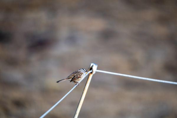 Point Lobos State Natural Reserve