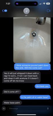 Paint poured down sink