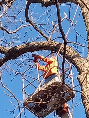 Jones Landscaping and Handyman Services