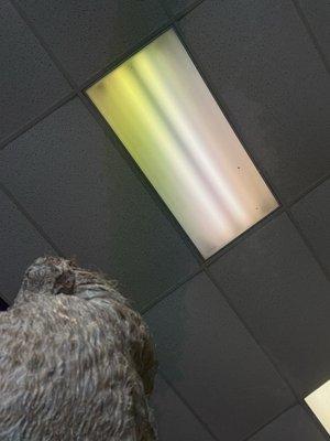 4 Seasons Dominican Hair Salon