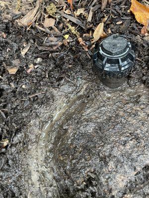 Leak around sprinkler head