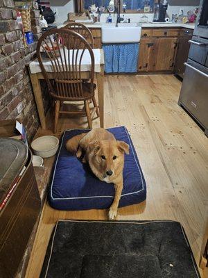 Possum Trot Veterinary Clinic