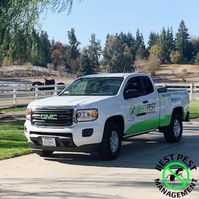 Best Pest Management