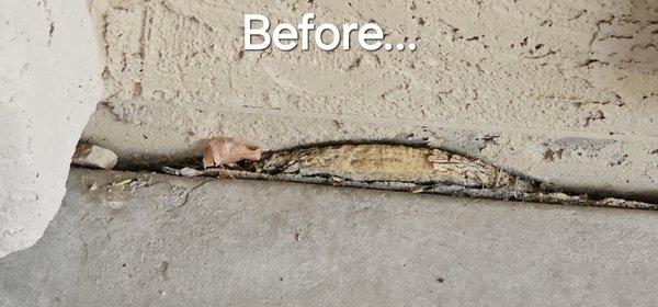 Ocotillo Superior Exteriors