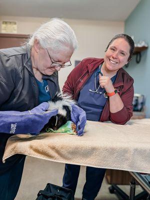 Skunks are not a regular site at Fox Run, but we love to partner with local rescues.