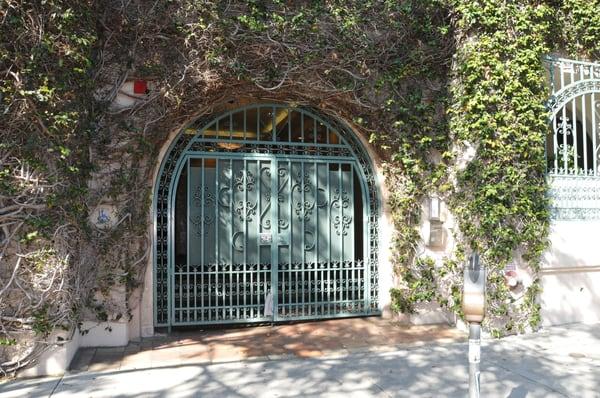 Charlotte James Skincare