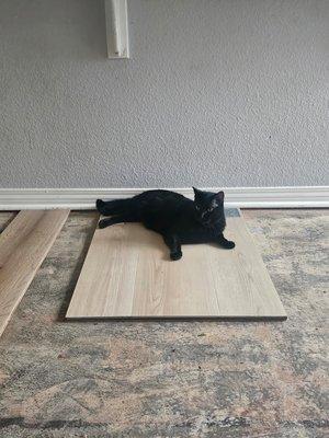 Direct Carpet Unlimited