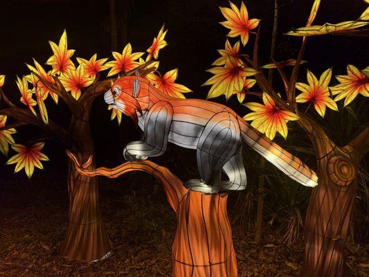 Mounts Botanical Garden