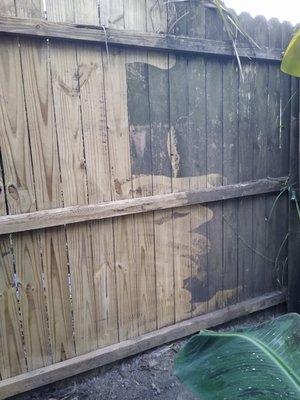 Big Papa's Detailing Pressure Washing