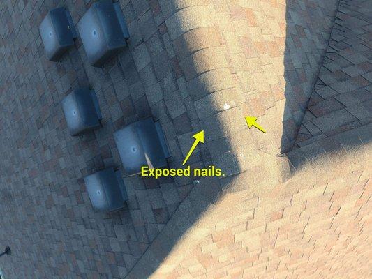 Rhino Restoration of Georgia