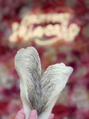 Book your Brazilian Wax! Have smooth skin all year around !