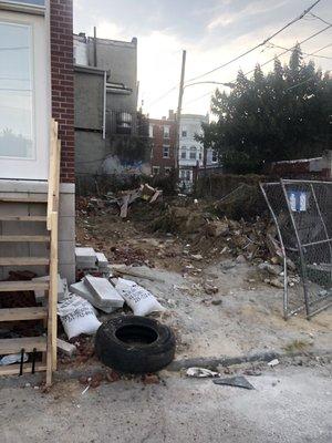 Rat-infested abandoned lot next to grocery and food place on Howard that never picks up their food litter.