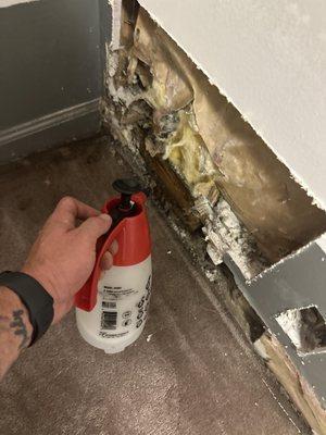 Microbial Growth Treatment