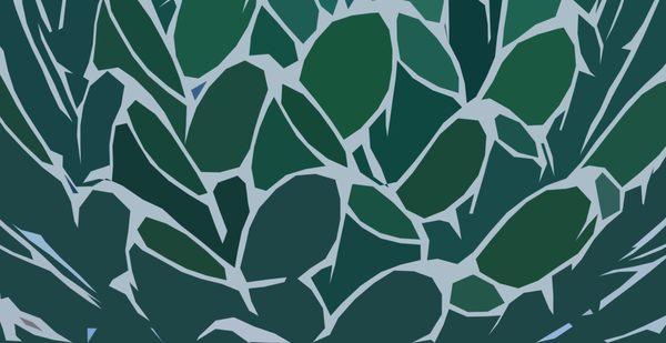 Agave Catering & Hospitality