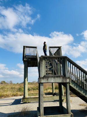 Altamaha Wildlife Management Area