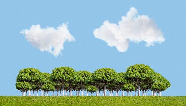 Sue Woods - Woods Team Realtors | Compass