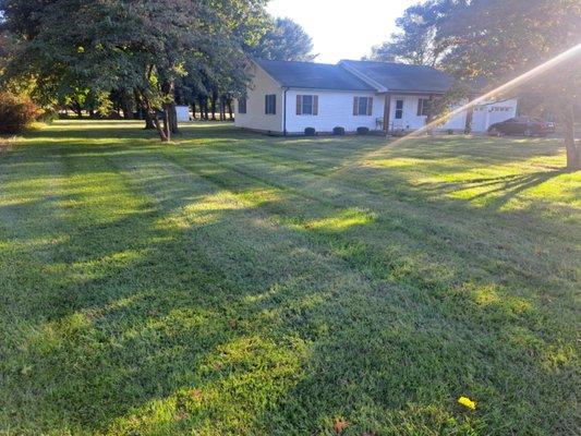 Innovative Landscaping