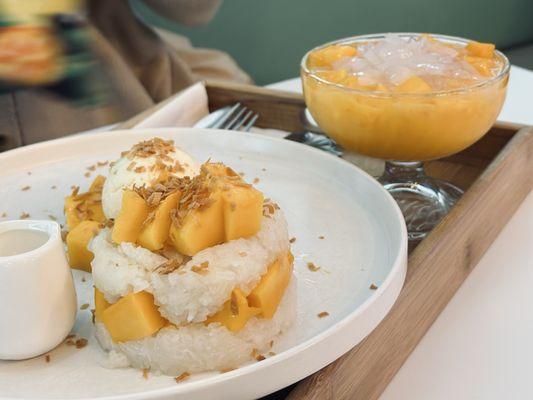 Mango Mango Dessert
