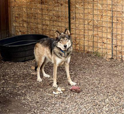 Terra Nova Landscape & Irrigation