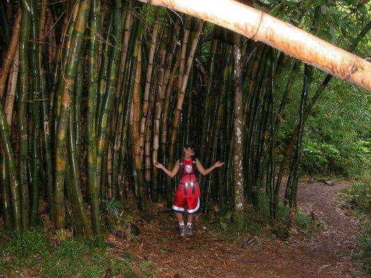 Trail to Hanakape'ai Falls