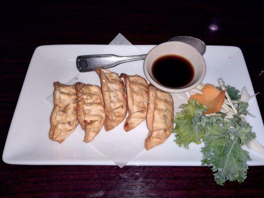 Fried Pork Dumplings