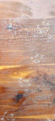 Hwy 515 Mini Storage