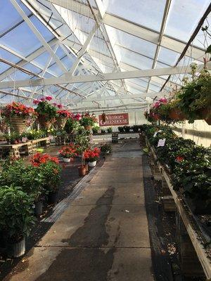 Wiethop Greenhouses-South County