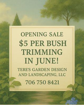 Tere’s Garden Design & Landscaping