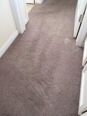 Aladdin Carpet Cleaning & Restoration