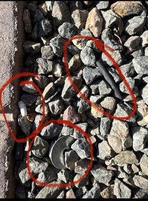 some of the debris left in the yard