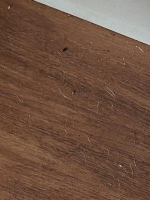 More dirt and pet hair on the floor.