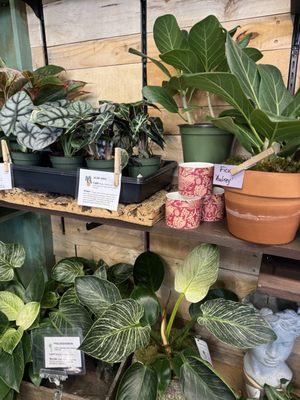 Carmel Flower Shop
