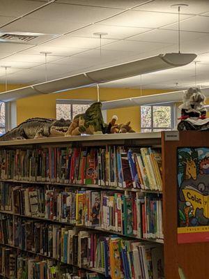 Shelves in the children's room