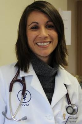 Laurelton Bayside Animal Hospital