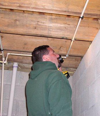 Brown's Integrated Pest Management