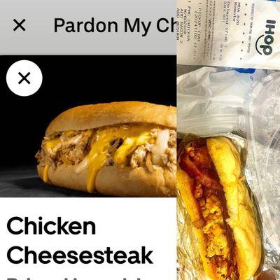 Pathetic excuse for a cheesesteak.