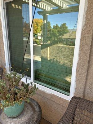 Window in front of home