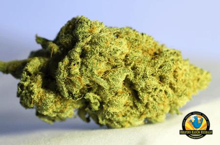 Helping Hands Holistic Medical Center