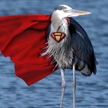 Super Heron Support