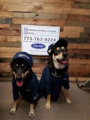 Guardian Heating & Cooling Service