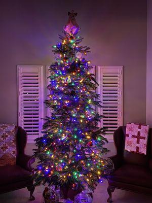 Our tree all decorated!