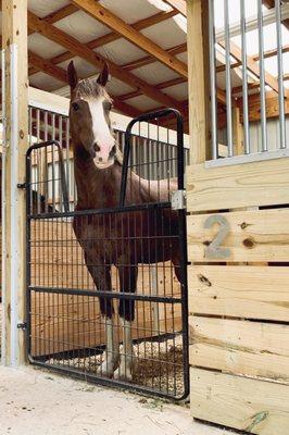 RAMM Horse Fencing & Stalls