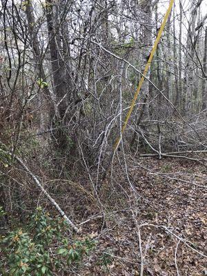 Tallapoosa River Electric Co-op