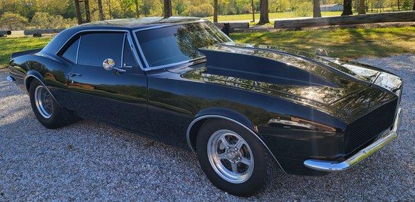 Springfield's PerfecTint & Protective Films