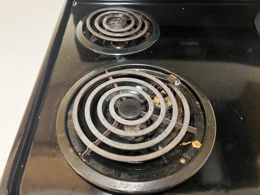 "Professionally cleaned"