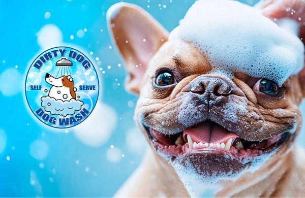 Dirty Dog Self Serve Dog Wash