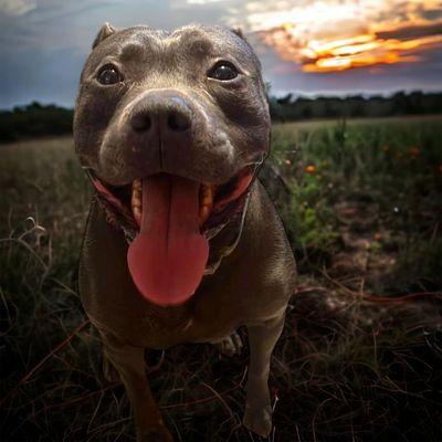 Furever Friends Sanctuary