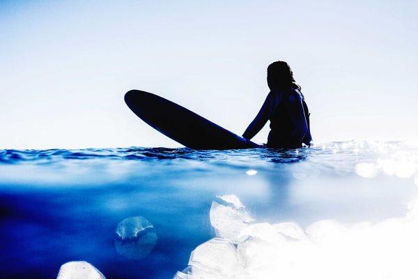 See the Beauty of The Sea