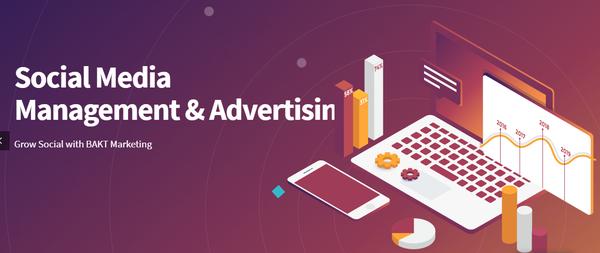 Cheep Cheep Postcards